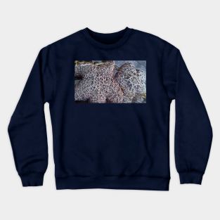 Starfish Crewneck Sweatshirt